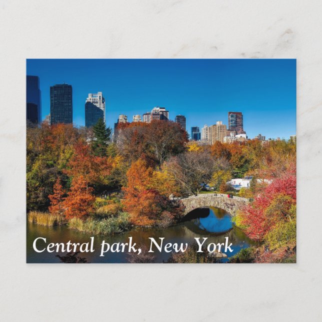 Zentralpark im Herbstwald New Yorks Postkarte (Vorderseite)