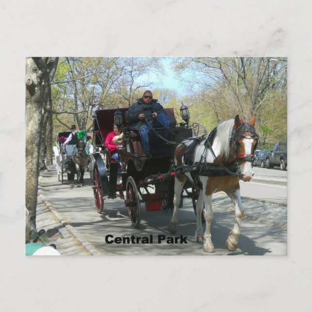 Zentralpark, Pferd und Beförderung Postkarte (Vorderseite)