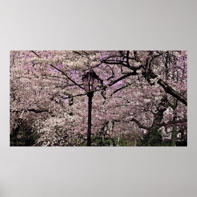 Zentralpark Poster (Vorne)