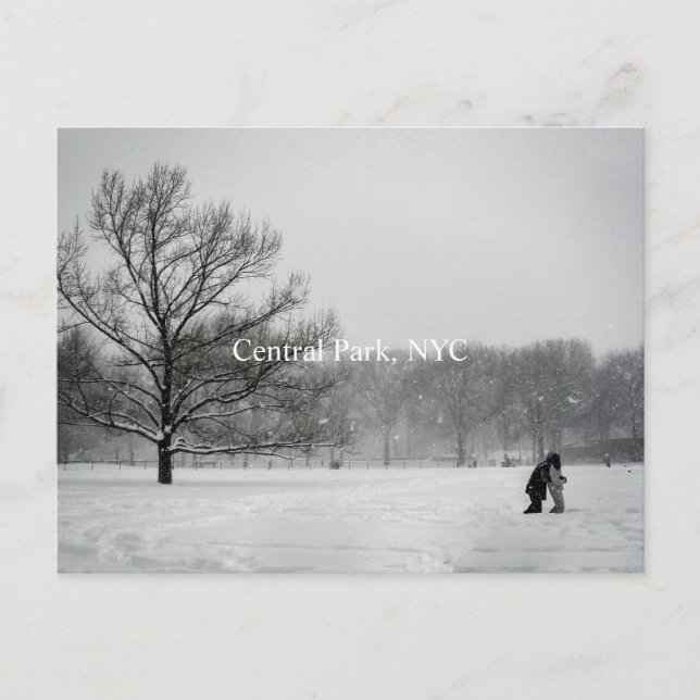 Zentralpark, Postkarte (Vorderseite)