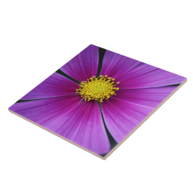 Zentrum der Kosmos-Tile Fliese (Seite)