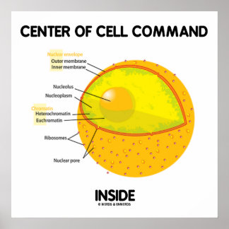Zentrum der Zellführung in der Nucleus-Biologie Poster