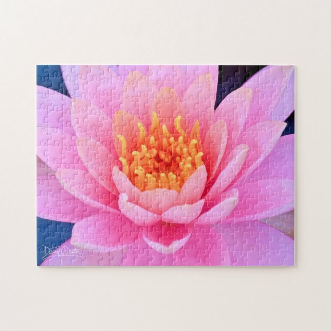 Zentrum einer Fabiola Puzzle (Horizontal)