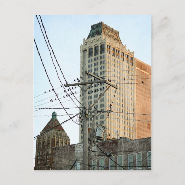 Zentrum von Tulsa mit Vögeln Postkarte (Vorderseite)