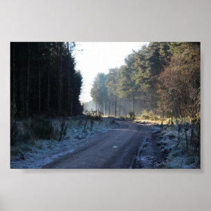 Zentsmuir-Wald Poster