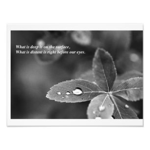 Zenund Taoistmindfulness-Meditations-Fotografie Fotodruck