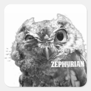 Zephyrian Eulen-Aufkleber Quadratischer Aufkleber