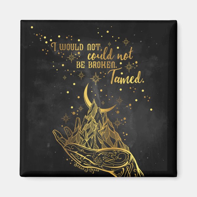 Zerbrochen, gezähmter Magnet (Vorne)