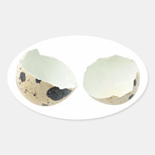 Zerbrochene Muschel Ovaler Aufkleber