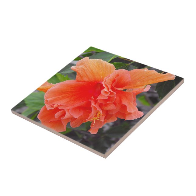 Zerknitterte Orangefarbene Blume Fliese (Seite)