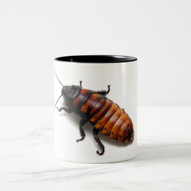 Zerquetschen Sie das Hisser Zweifarbige Tasse (Mittel)