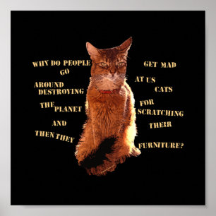 Zerstöre! Somali Cat Poster