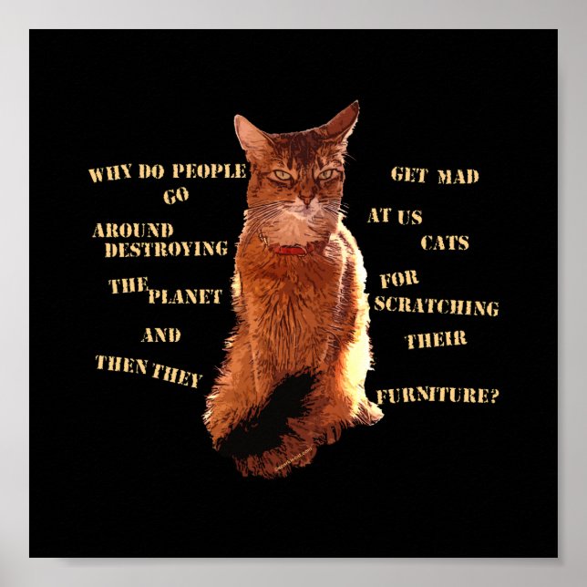 Zerstöre! Somali Cat Poster (Vorne)