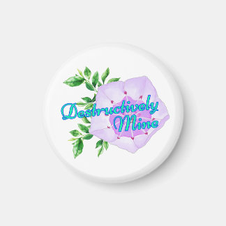 Zerstörerisch Meins Magnet