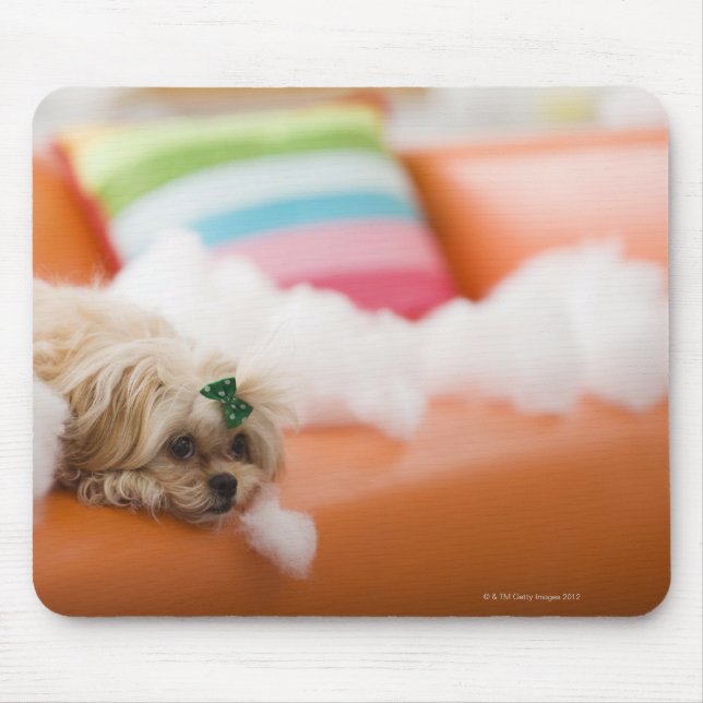 zerstörerischer Hund Mousepad (Vorne)