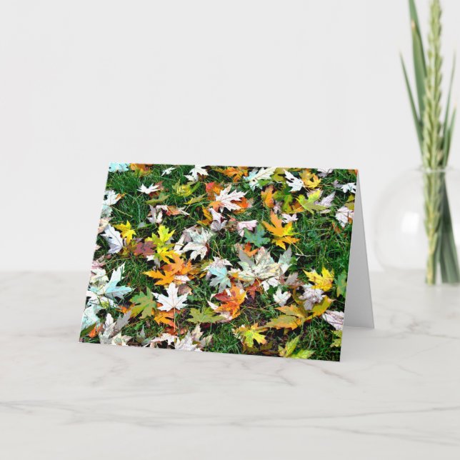 Zerstreutes Blätter Feiertagskarte (Vorderseite)