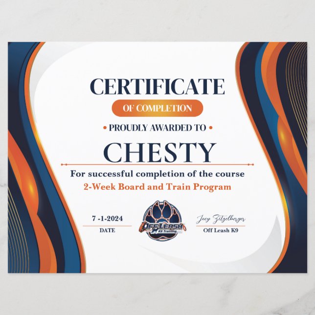 Zertifikat Nr. 13 (Vorderseite)