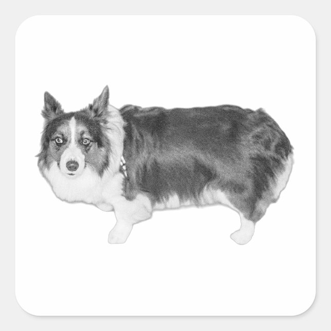 Zertifizierte Snack-Scout Quadratischer Aufkleber (Vorderseite)