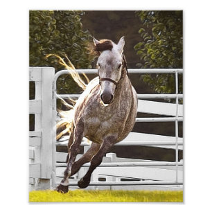 Zest für Leben Fotodruck