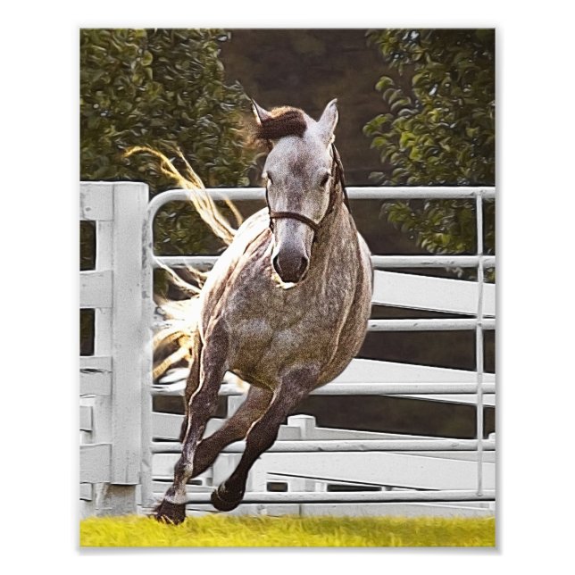 Zest für Leben Fotodruck (Vorne)