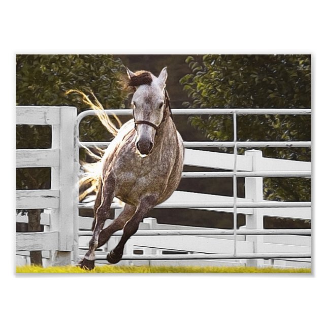 Zest für Leben Fotodruck (Vorne)