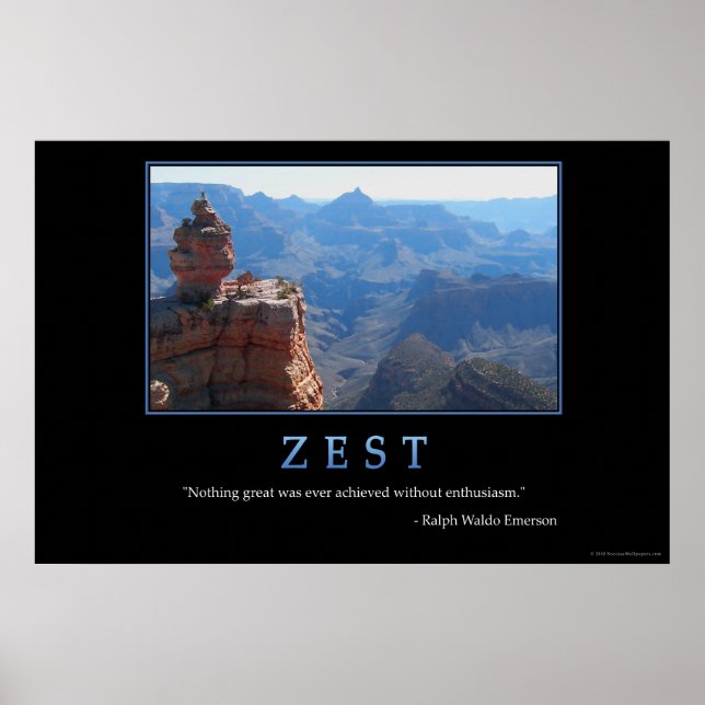 Zest Poster (Vorne)