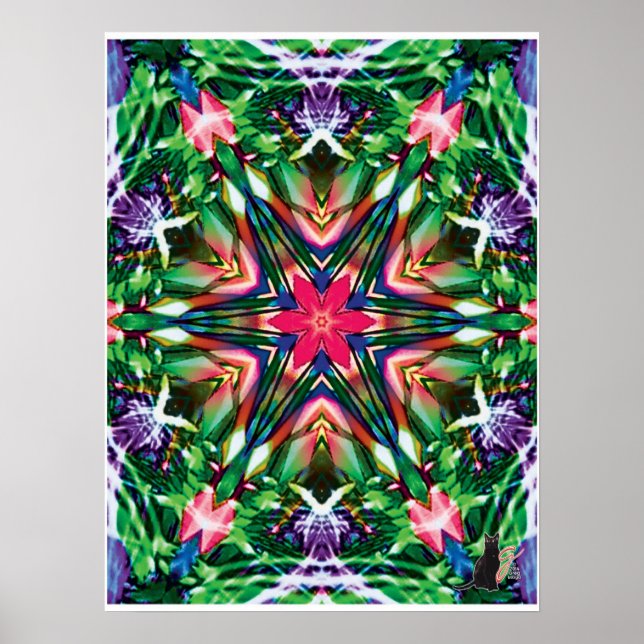 Zesty Kinetic Collage Kaleidoscope Poster (Vorne)