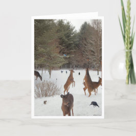 Zeuge der Schönheit der Natur Karte