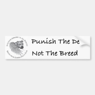 Zeus-Engel Autoaufkleber