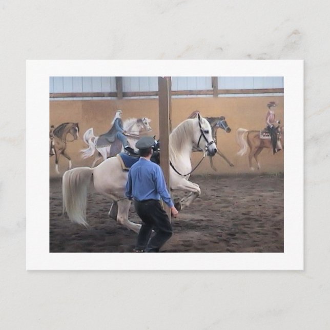 Zeus, Levade in den Säulen Postkarte (Vorderseite)