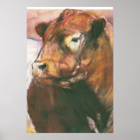 Zeus Red Belted Galloway Bull 2006 2