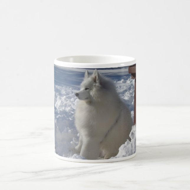 zeus_snow_21dec09_1 tasse (Mittel)