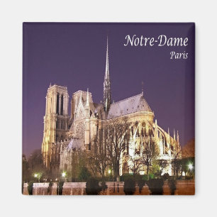 zFR055 NOTRE-DAME, Paris, Frankreich, Kühlschrank Magnet