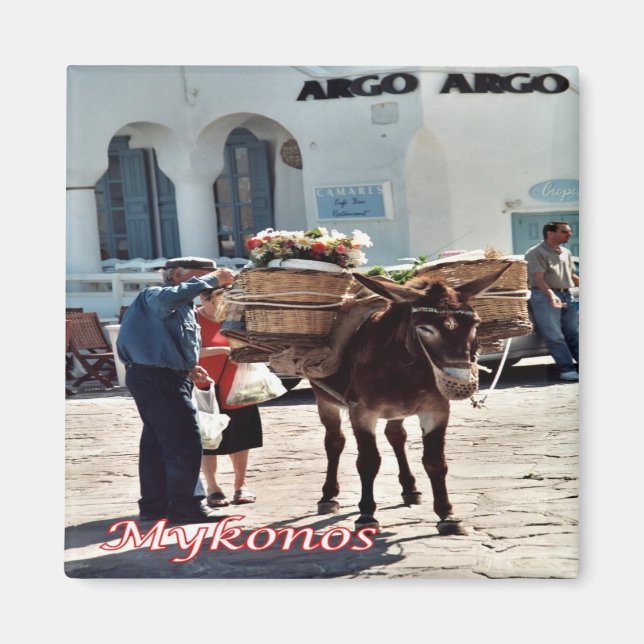 zGR119 MYKONOS Donkey, Griechenland, Kühlschrank Magnet (Vorne)