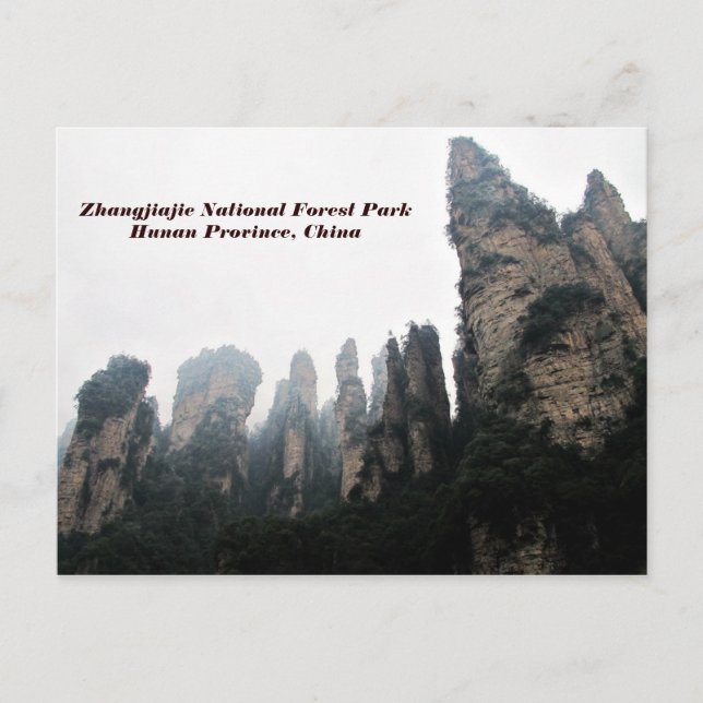 Zhangjiajie National Forest Park, Hunan China Postkarte (Vorderseite)