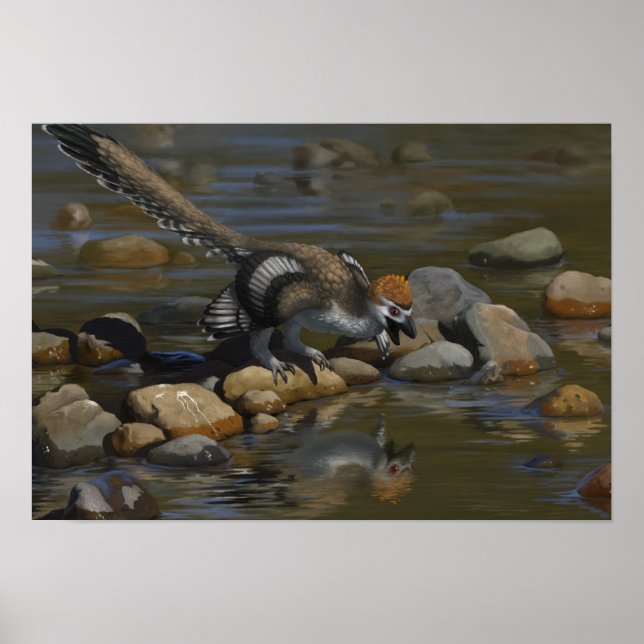 Zhenyuanlong Poster (Vorne)