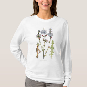 Zichorie-Vintages botanisches T-Shirt