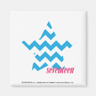 Zickzack-Aqua 2 Magnet