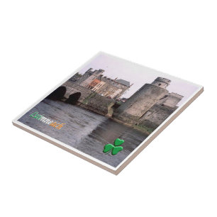 zIE004 LIMERIK, Luimneach, Irland, Fliese