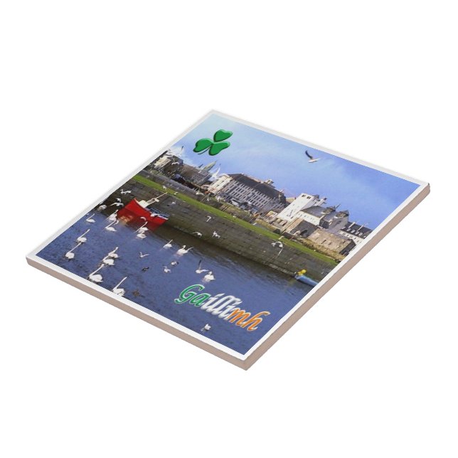 zIE005 GALWAY GAILLIMH, Irland, Fliese (Seite)