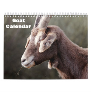 Ziege 2026 kalender