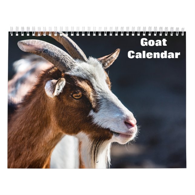 Ziege 2026 kalender (Titelbild)