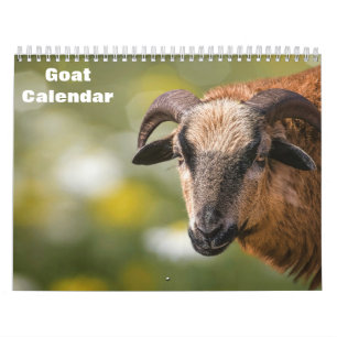 Ziege 2027 kalender