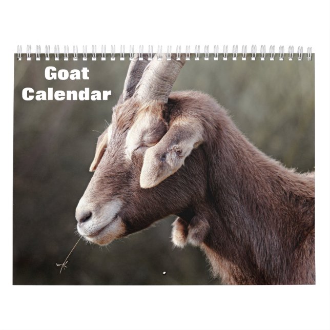 Ziege 2027 kalender (Titelbild)