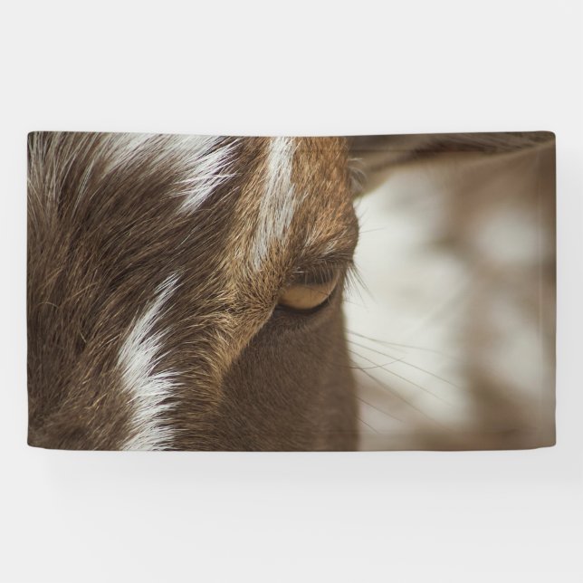 Ziege Banner (Horizontal)
