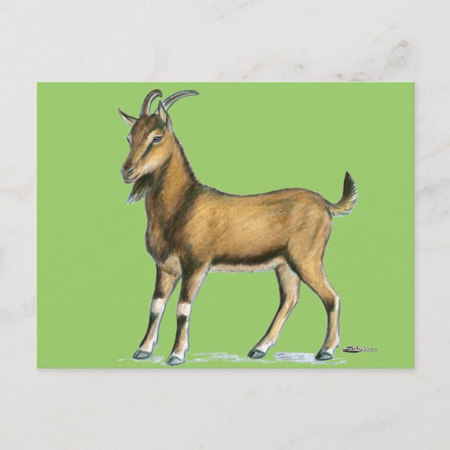 Ziege: braun postkarte (Vorderseite)