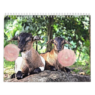 ZIEGE Bubblegum Aquarellmalerei Ziegenkalender Kalender