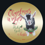 ZIEGE | Christmas wünscht Baby Goat Kisses Nigeria Runder Aufkleber<br><div class="desc">AKTUALISIEREN SIE DIESES Weihnachtsgeschenk Tag Sticker- Adorable Porträtmalerei einer nigerianischen Zwergziege mit Weihnachtsgrün, Heiligenbäumen und Beeren, einem roten Bogen und Mistleton - mit verziertem Kalligrafiettext, der lautet: Weihnachtswünsche und Kinderziege auf einem herausnehmbaren goldenen Hintergrund - entfernen Sie den Hintergrund, um Weiß zu zeigen oder wählen Sie aus dem individuell gestalteten...</div>