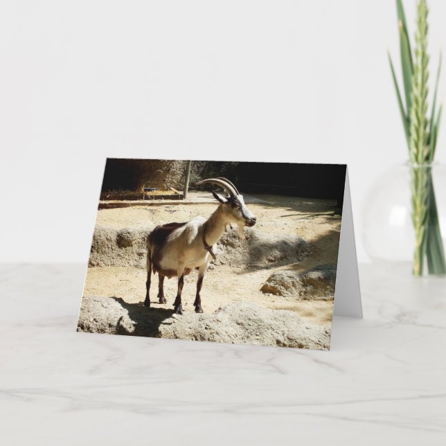 Ziege Feiertagskarte (Vorderseite)