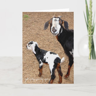 Ziege, glorydaysphotography karte